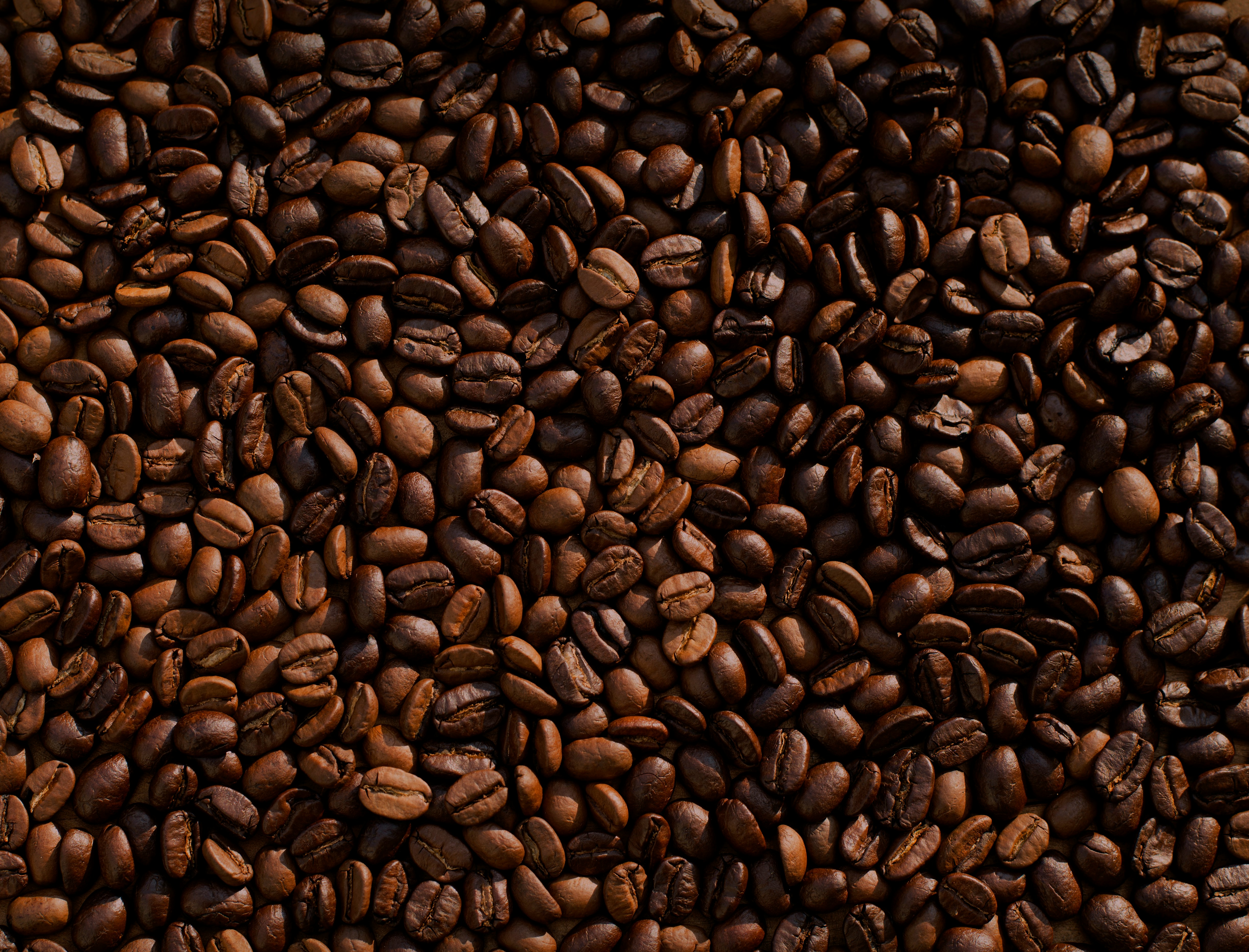 Close-up of roasted coffee beans