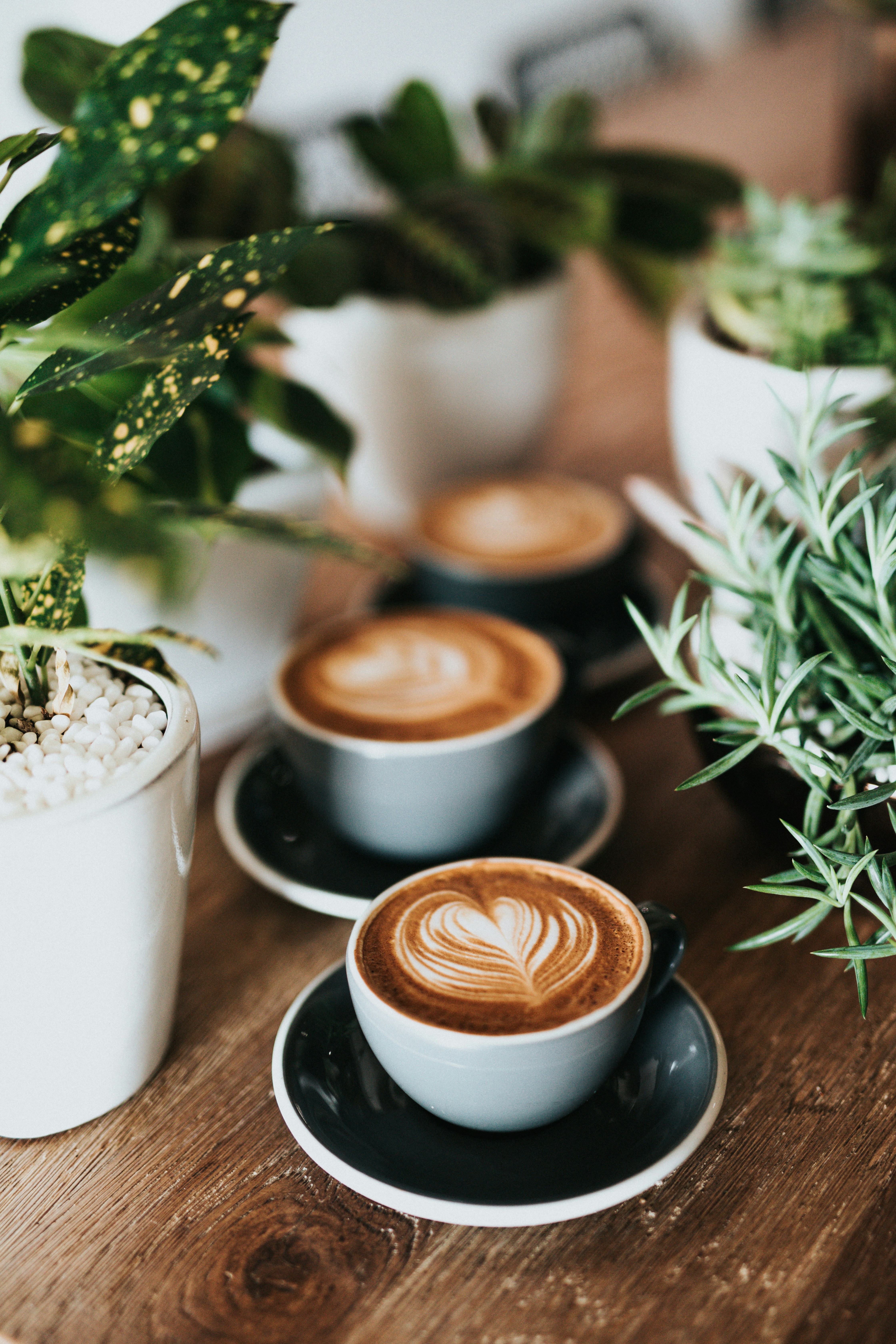 Coffee cups with latte art
